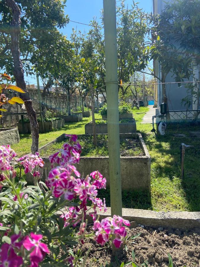 Villa Osmani Durrës Eksteriør bilde