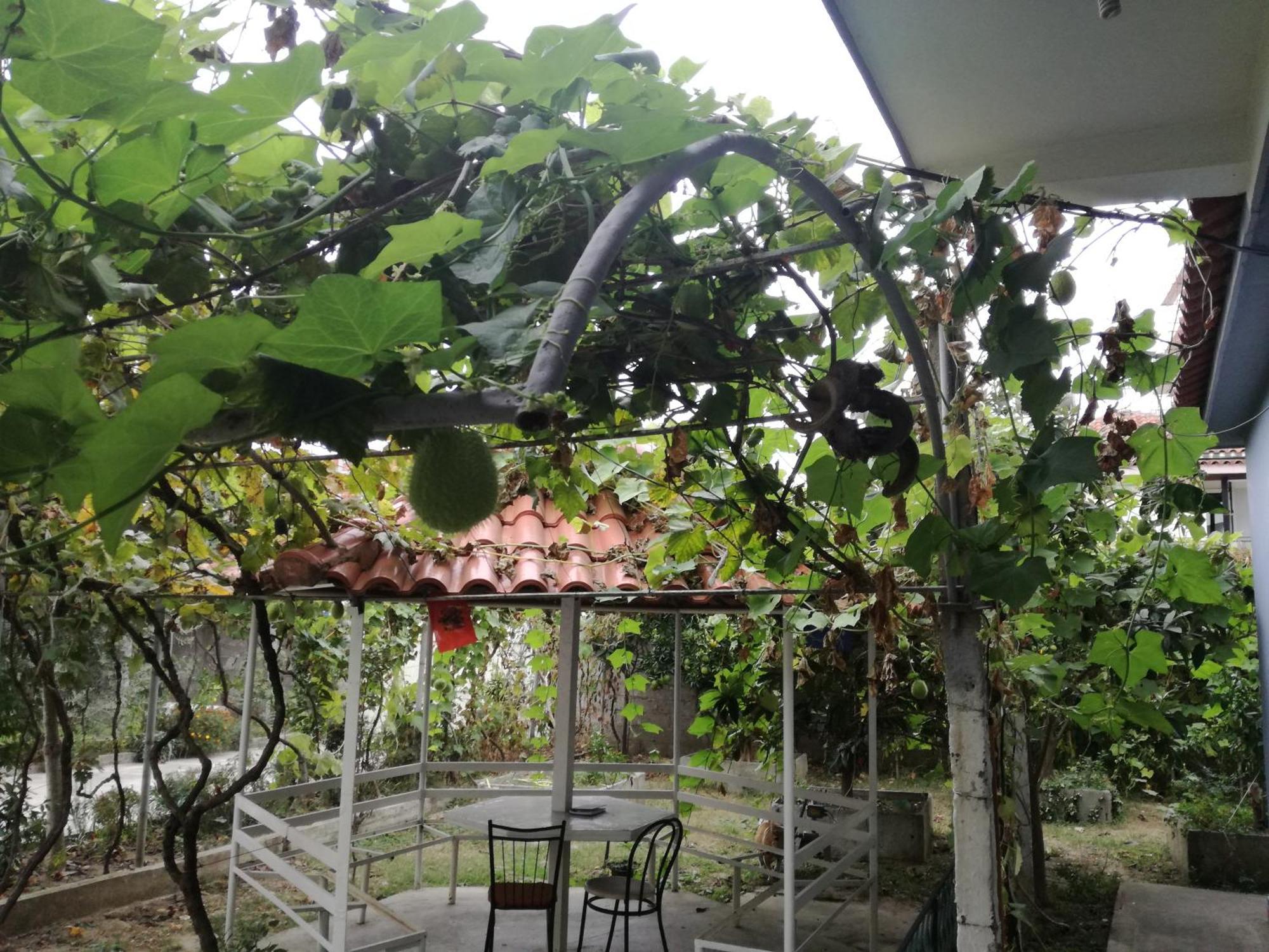 Villa Osmani Durrës Eksteriør bilde